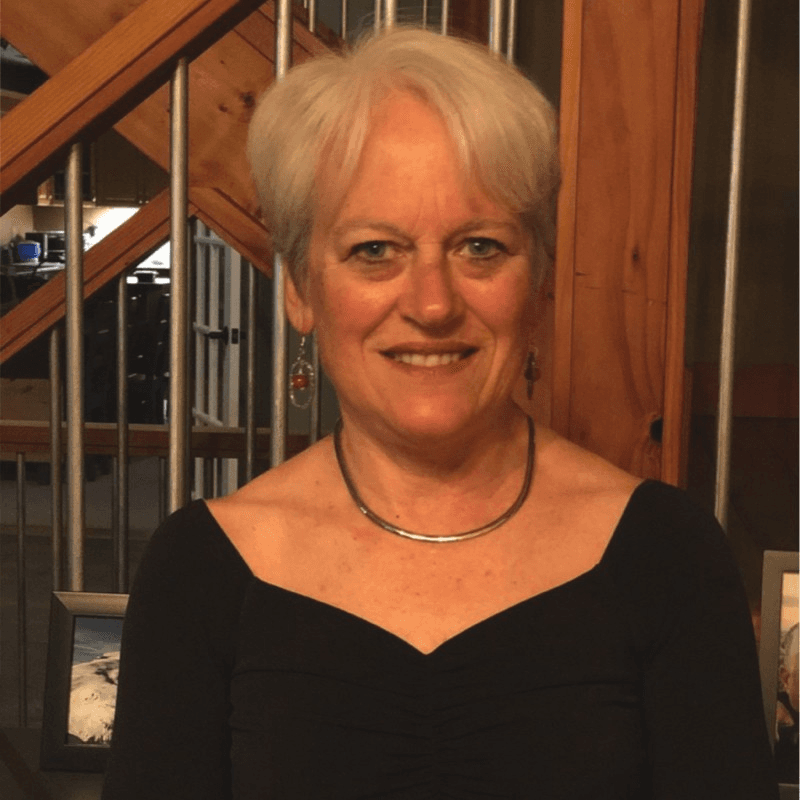 Portrait of Donna Sohikian, Independent Recruiter